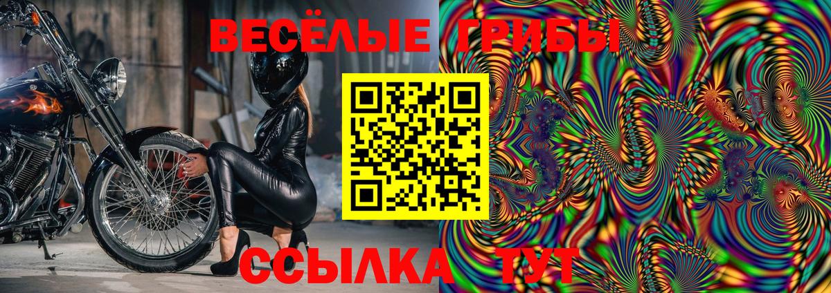 Черняховск  Псилоцибиновые грибы Psilocybe  Вход с VPN 